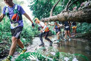 BIB: 
                            <button type="button" onclick="openModal(25466041)" class="btn btn-primary btn-sm float-right btn-popup" data-toggle="modal" data-target=".modal-high-quality">
                        <i class="fas fa-shopping-cart"></i> Add to Cart
                    </button>
                                            <button type="button" onclick="isThisMe(25466041, true)" class="btn btn-success btn-sm float-right btn-popup btn-isme hidden" data-toggle="tooltip" data-placement="bottom" title="นี่คือรูปของคุณใช่ไหม คลิกที่นี่เพื่อเอาเข้าอัลบั้ม">
                        <i class="fas fa-plus"></i> Add to album
                    </button>
                    <button type="button" onclick="isThisMe(25466041, false)" class="btn btn-warning btn-sm float-right btn-popup btn-isnotme hidden">
                        <i class="fas fa-ban"></i> Remove from album
                    </button>